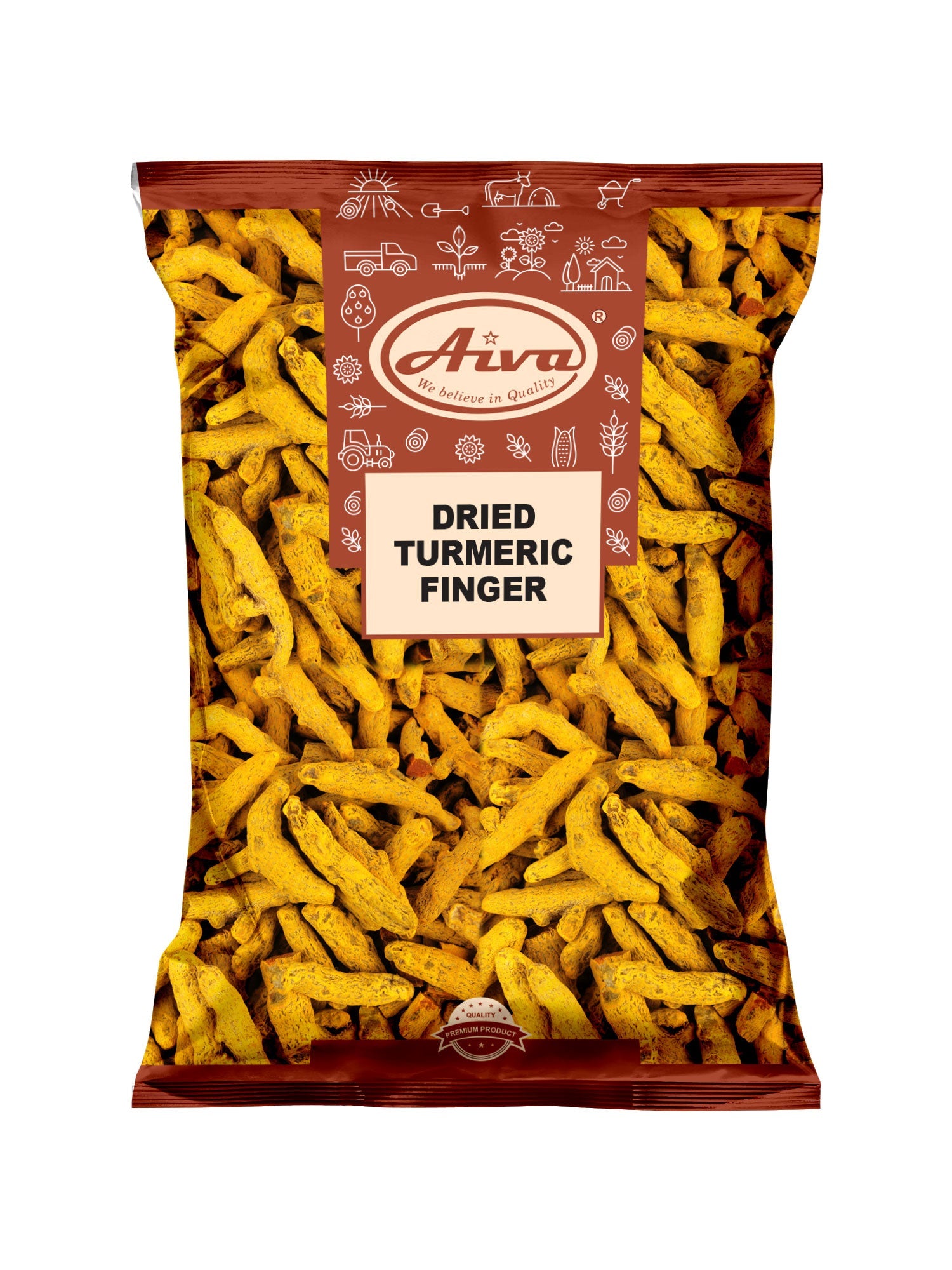 Dried Turmeric Finger-1