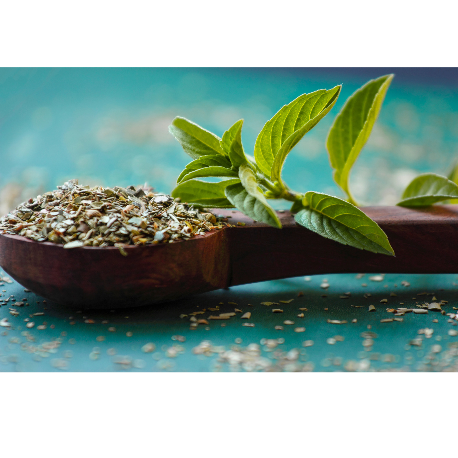 Holy Basil Herb, Dried Herbs, Food Grade Herbs, Herbs and Spices, Loose Leaf Herbs-0